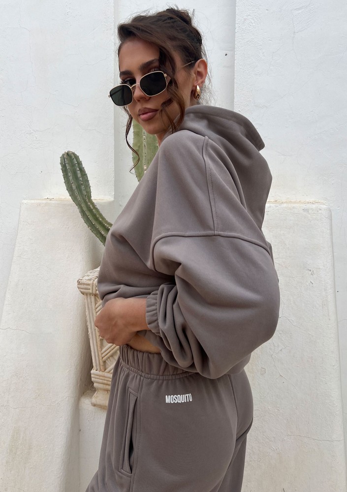 Icon - Bluza z kapturem i ściągaczem Simply Taupe