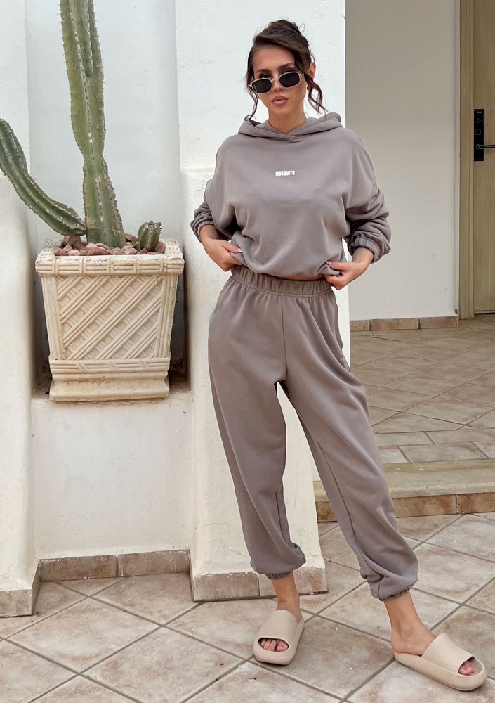 Icon - Simply taupe beige hoodie