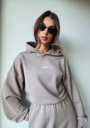 Icon - Bluza z kapturem i ściągaczem Simply Taupe