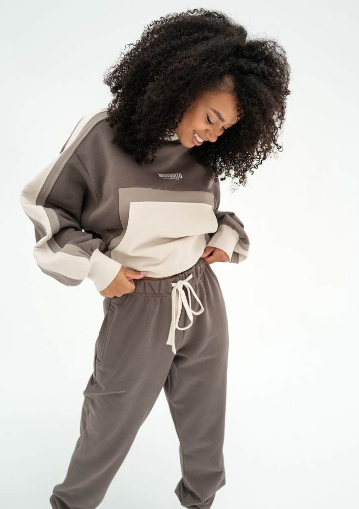 Fame - Tricolor hoodie Taupe