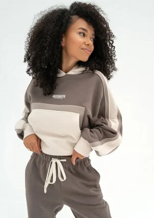 Fame - Tricolor hoodie Taupe