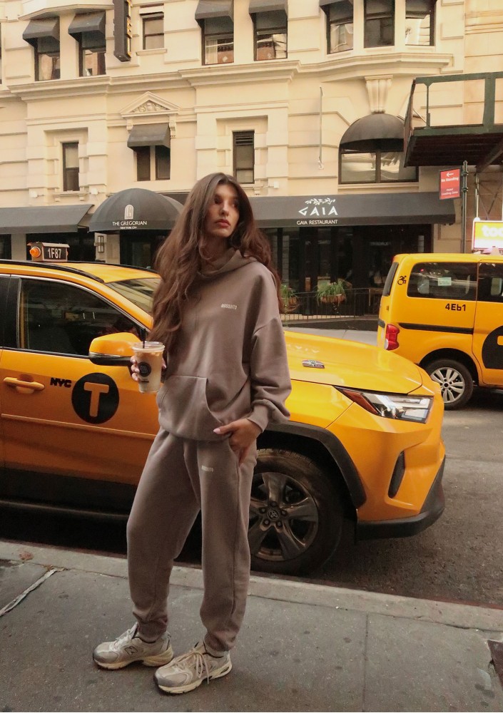 Pure - Simply taupe hoodie