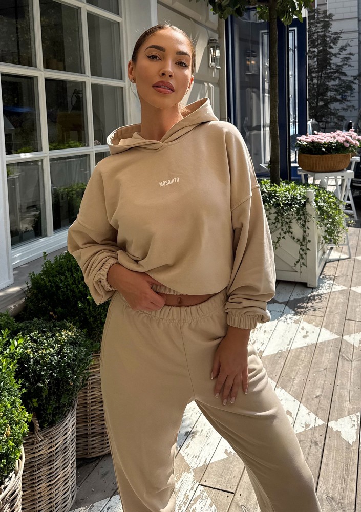 Icon - Bluza z kapturem i ściągaczem Sand Beige