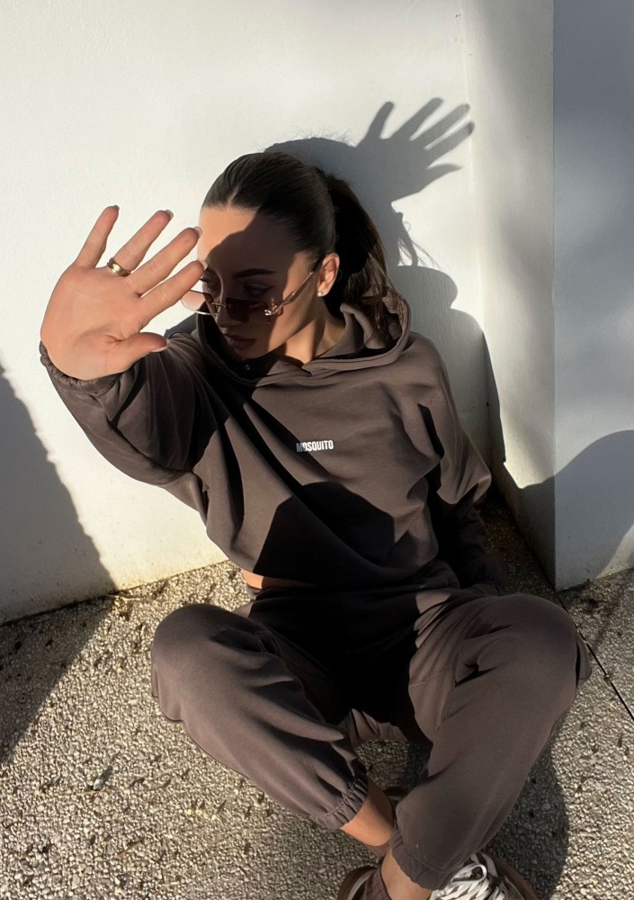 Icon - Savannah brown hoodie