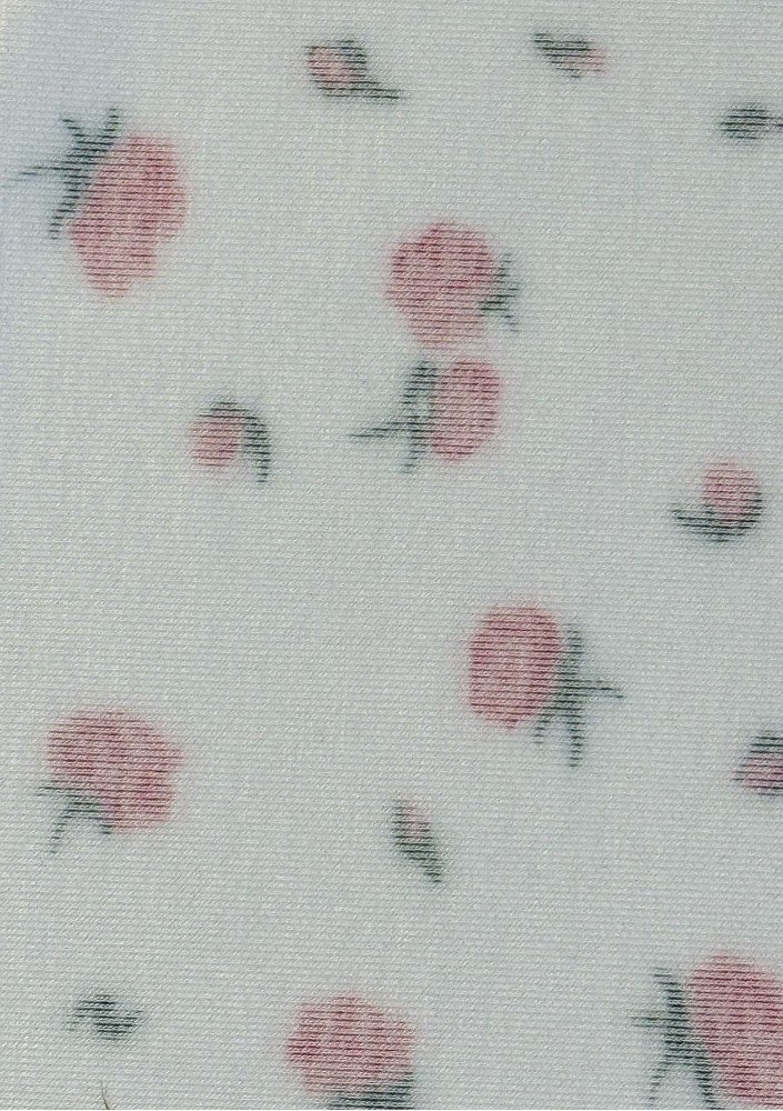 Rosie - Roses printed mini dress